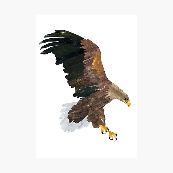 Item preview, Eagle hunting designed and sold by BabbanGaelg.