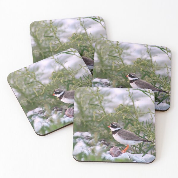 Item preview, Sandpiper Shore designed and sold by DreamLand-Media.