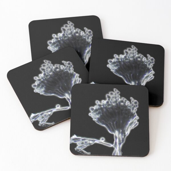 Item preview, Penicillium mold under the microscope designed and sold by SDym Photography.