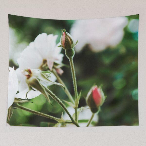Tapestry