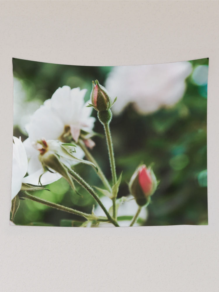 Thumbnail 2 of 3, Tapestry, Spring Roses Flowers designed and sold by Spring-Flower-.