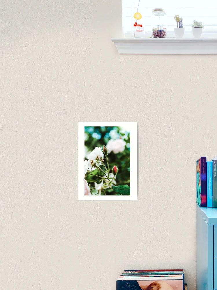 Thumbnail 2 of 3, Art Print, Spring Roses Flowers designed and sold by Spring-Flower-.