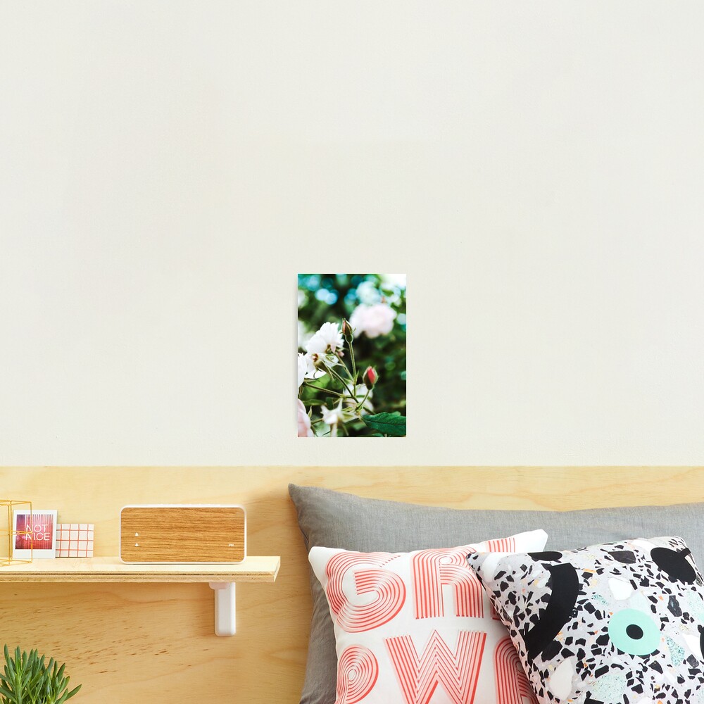 Item preview, Photographic Print designed and sold by Spring-Flower-.