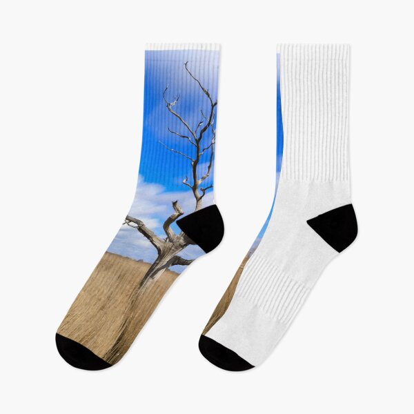 Item preview, Lone tree in reeds (Snape Maltings) designed and sold by bitm2007.