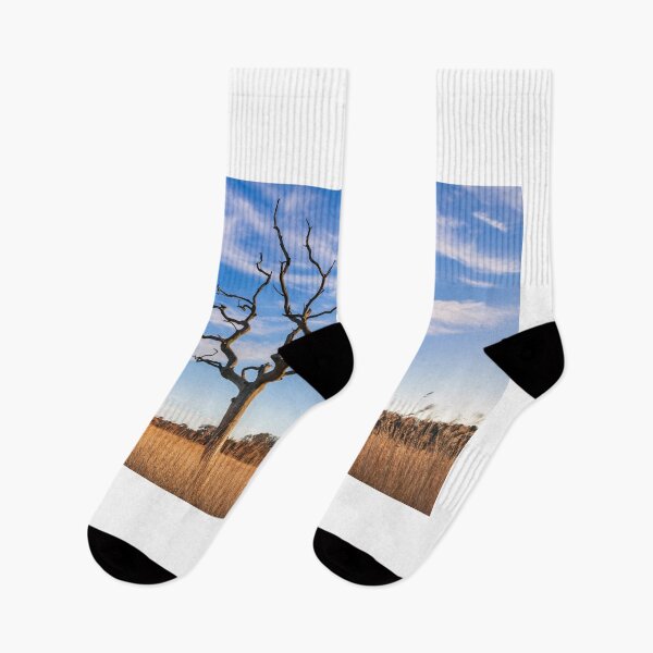 Item preview, Evening light at Snape Maltings designed and sold by bitm2007.