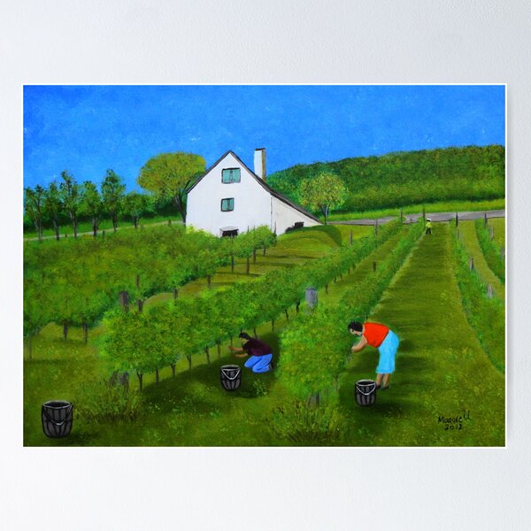 Item preview, Grape harvest designed and sold by maggie326.
