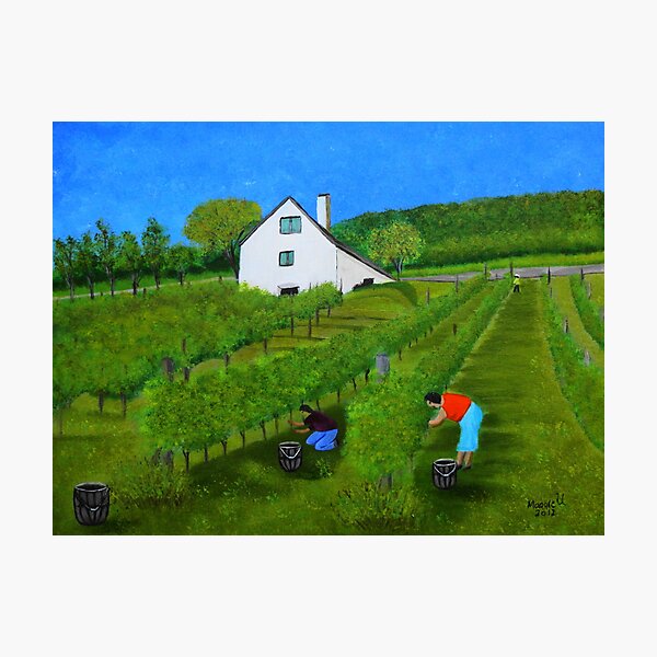 Item preview, Grape harvest designed and sold by maggie326.