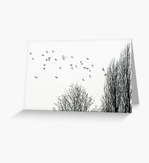 Il Volo Greeting Card