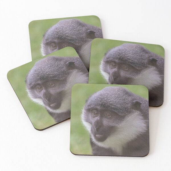 Item preview, L'Hoest's monkey designed and sold by KcsArt87.