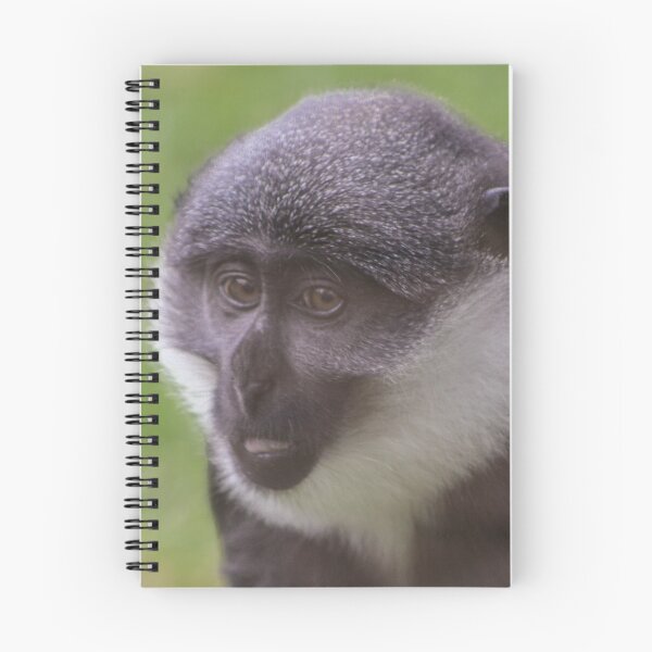 Item preview, L'Hoest's monkey designed and sold by KcsArt87.