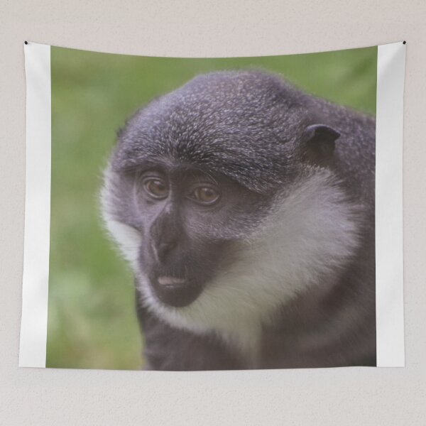 Item preview, L'Hoest's monkey designed and sold by KcsArt87.