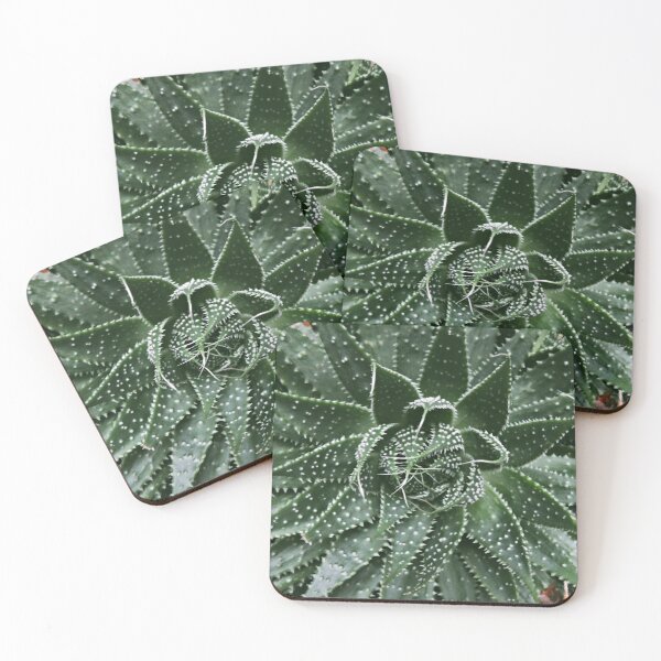 Item preview, Aloe designed and sold by Alexandra Lavizzari.