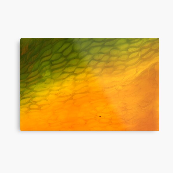 grid fusion Metal Print