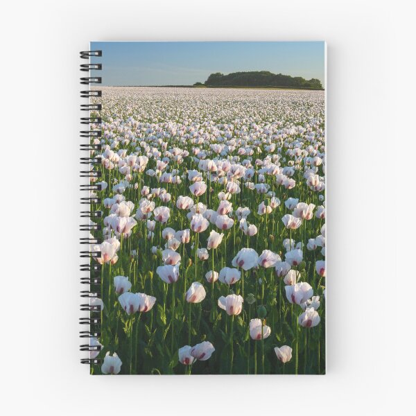 Item preview, Opium Poppies (West Morden, Dorset) designed and sold by bitm2007.