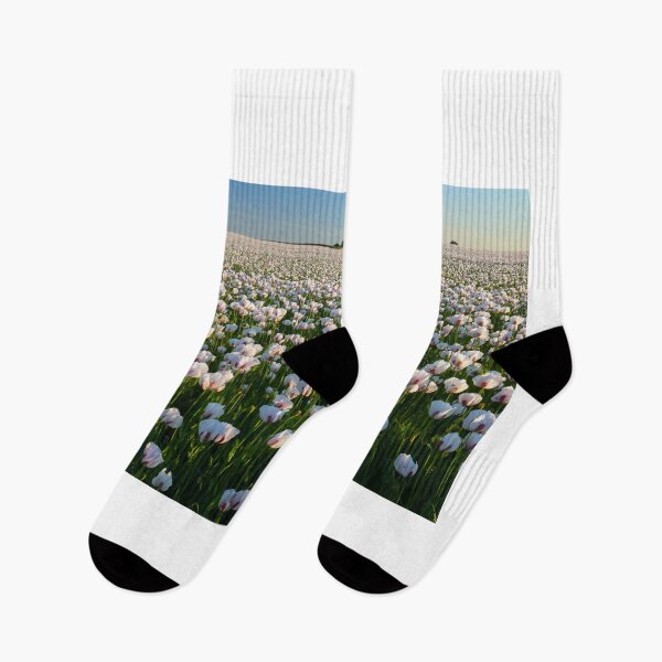Item preview, Opium Poppies (West Morden, Dorset) designed and sold by bitm2007.