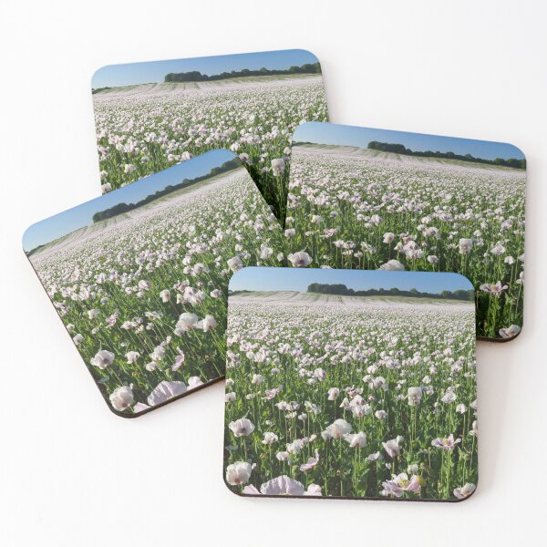Item preview, Opium poppy field at West Morden (West Morden) designed and sold by bitm2007.
