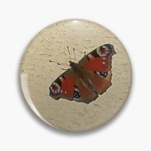 Item preview, Tortoiseshell butterfly on wall designed and sold by winterhare.