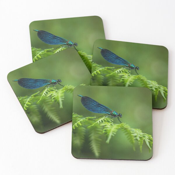 Item preview,  Demoiselle Damselfly. designed and sold by John Ray.