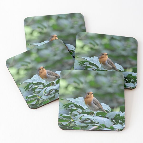 Item preview, Robin red breast  designed and sold by Declan Carr.