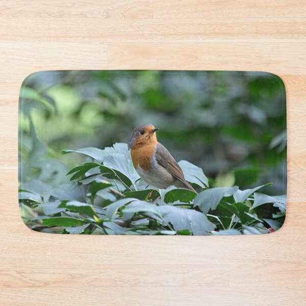 Item preview, Robin red breast  designed and sold by Declan Carr.