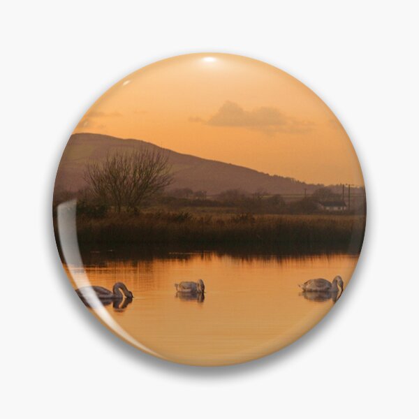 Item preview, Swans on Broadpool, Gower, Wales designed and sold by Alan Gregg.