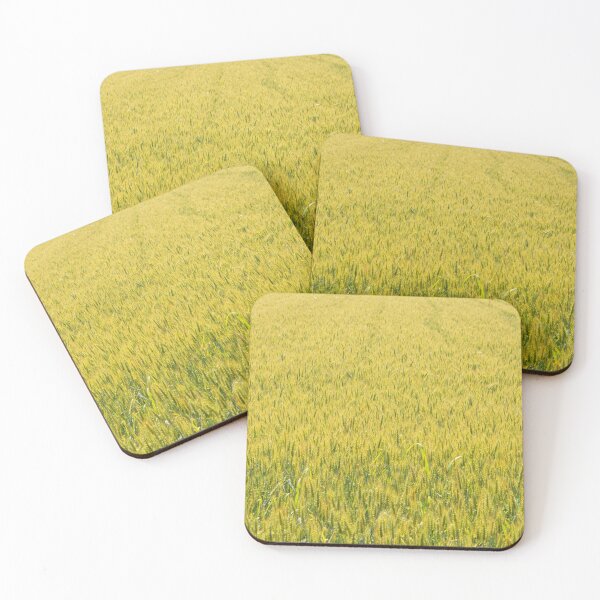 Item preview, Expanse of wheat in a field under the spring sun designed and sold by brambillasimone.