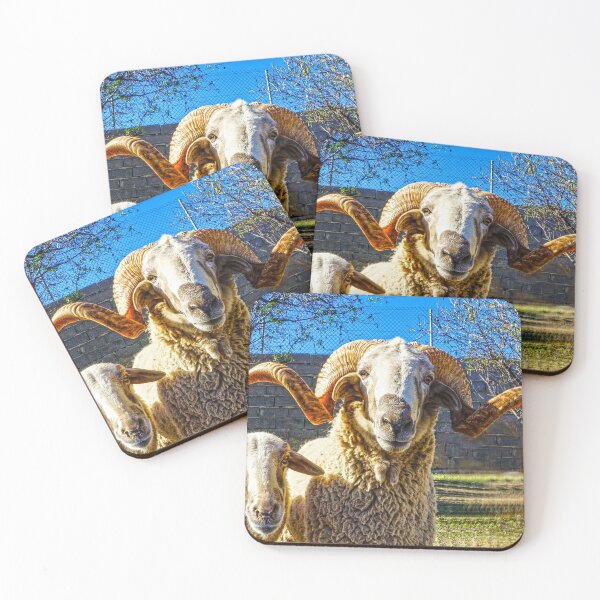 Item preview, Looking Sheepish designed and sold by Digby Merry.