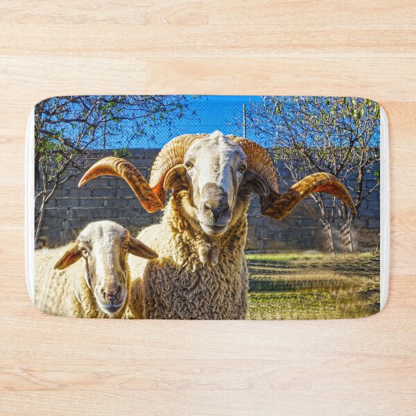 Item preview, Looking Sheepish designed and sold by Digby Merry.