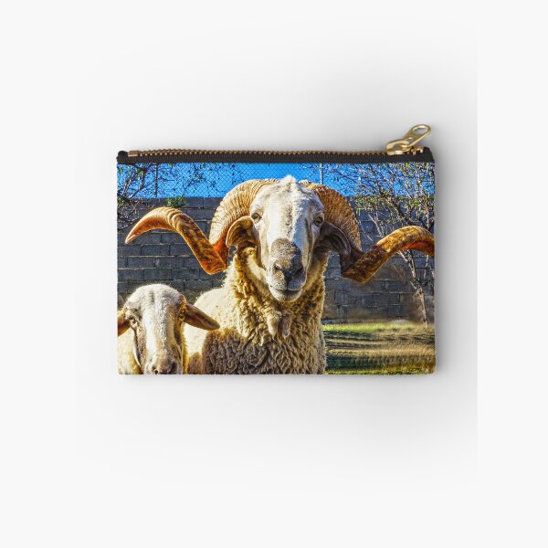 Item preview, Looking Sheepish designed and sold by Digby Merry.
