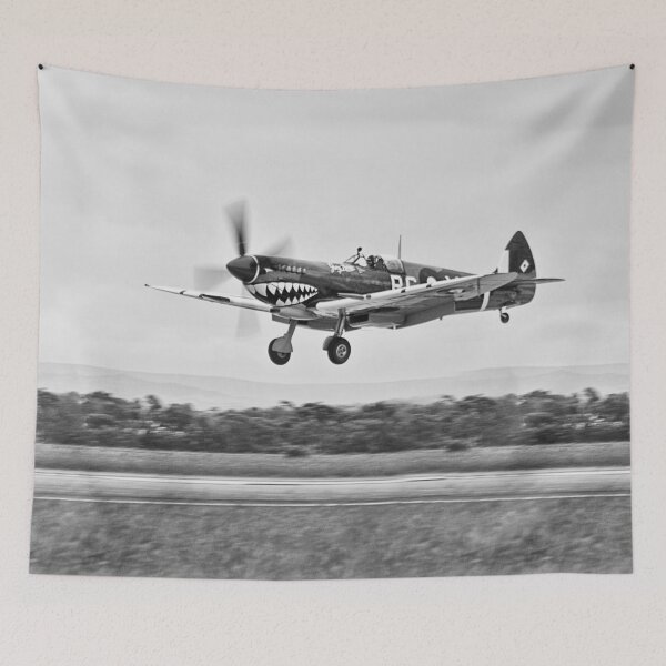 Item preview, Curtiss P-40 Warhawk Fighter Air Plane designed and sold by ea-photos.