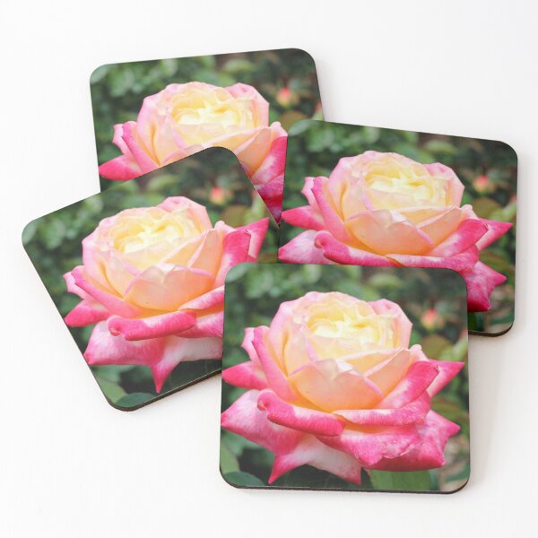 Item preview, Pink and Yellow Beautiful Rose designed and sold by Susie Kramer.