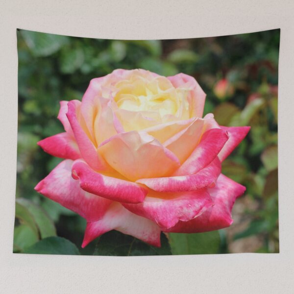 Item preview, Pink and Yellow Beautiful Rose designed and sold by Susie Kramer.