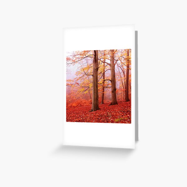Item preview, Burnham Beeches. November designed and sold by chuckirina.