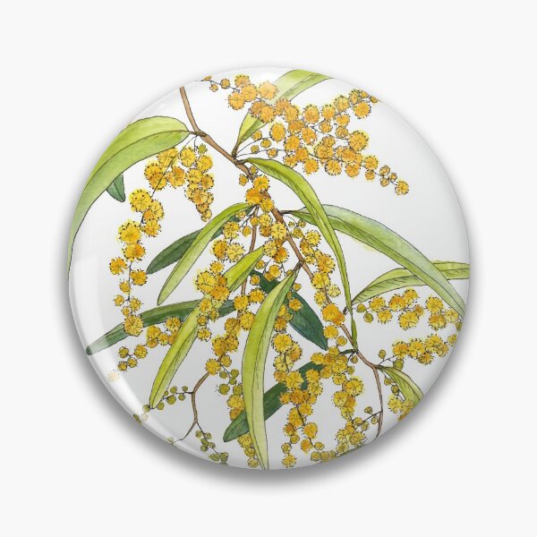 Item preview, Australian Wattle Flower, Illustration designed and sold by JRoseDesign.