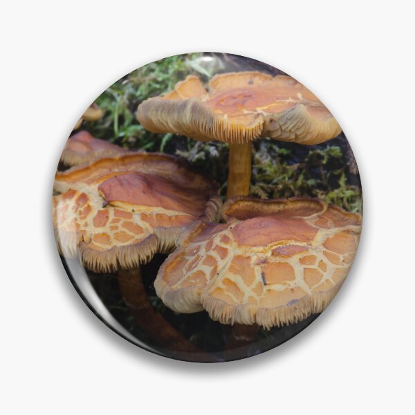 Item preview, Mushrooms designed and sold by Willscape.