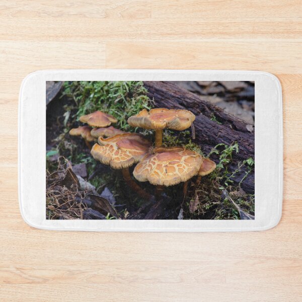 Item preview, Mushrooms designed and sold by Willscape.