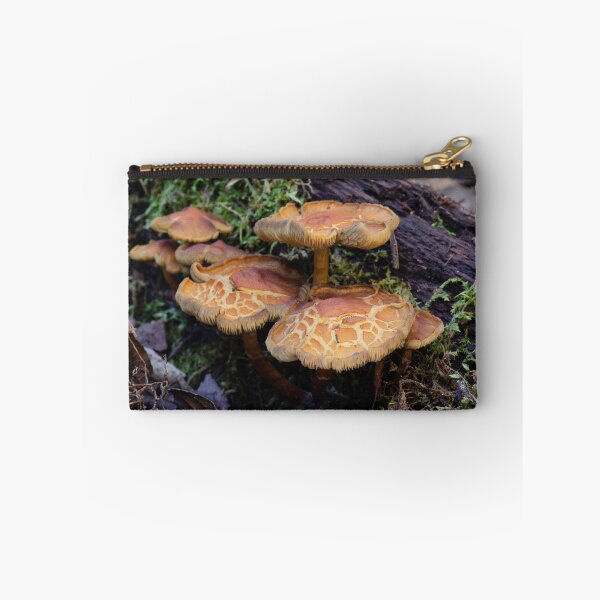 Item preview, Mushrooms designed and sold by Willscape.