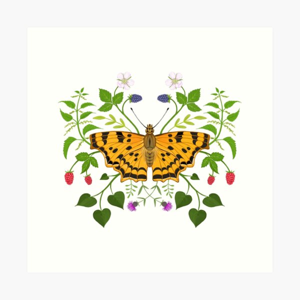 Butterfly with berries Art Print
