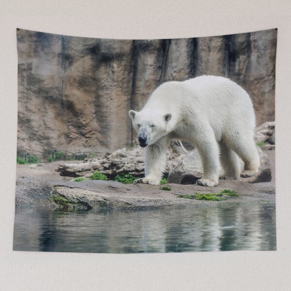 Item preview, Polar bear walking by lake designed and sold by lena-maximova.