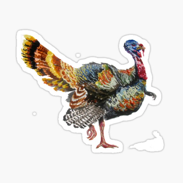 Turkey Plumage Sticker