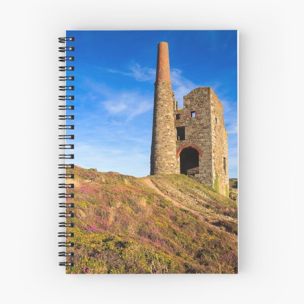 Item preview, Tywarnhayle Engine House designed and sold by bitm2007.