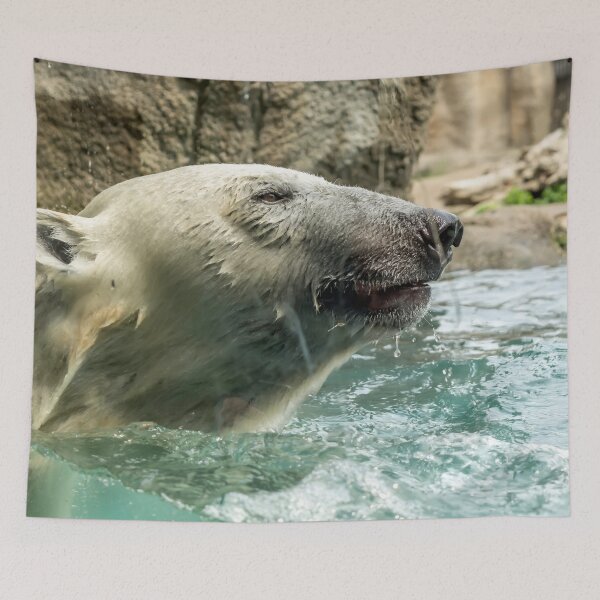 Item preview, Head of Polar bear above water designed and sold by lena-maximova.