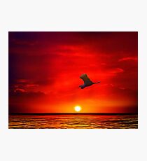 Sunset 11 Photographic Print