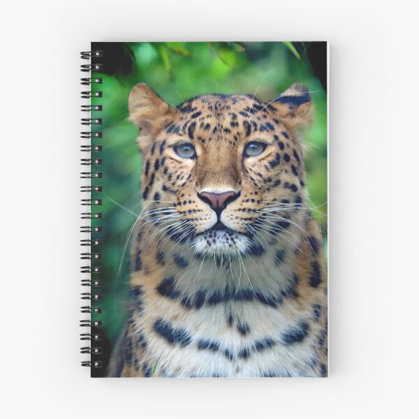 Item preview, Amur Leopard designed and sold by Danny5.