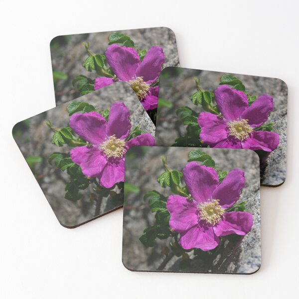 Item preview, Sea Mist_Rosa Rugosa designed and sold by Poete100.