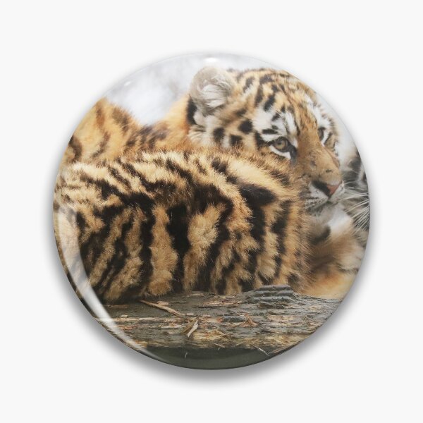 Artikelvorschau, Tiger Cubs entworfen und verkauft von Danny5.