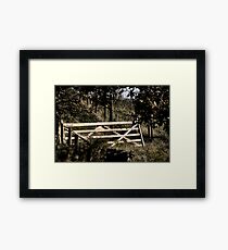 Unhinged Framed Print