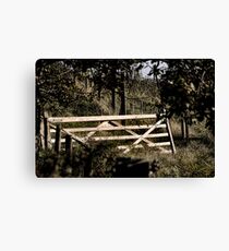 Unhinged Canvas Print