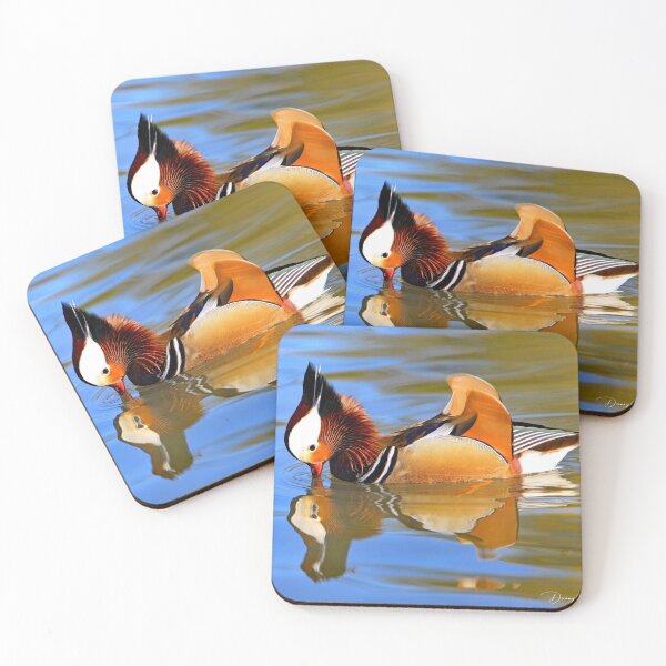 Item preview, Mandarin Duck designed and sold by Danny5.