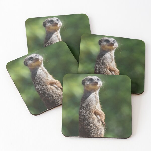 Item preview, Meerkat Moment designed and sold by Danny5.